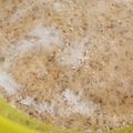 ぎょびょ's cooksnap of when they made …◬完全覚書◬我が家の手作り麦味噌◬….