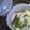 まるーにゃん's cooksnap of when they made 茶碗蒸しの具材は自由なので簡単！.