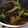 クックQ1VE8W☆'s cooksnap of when they made なにこれ美味い！ブロッコリーと牛肉炒め.