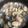 クックJA1A68☆'s cooksnap of when they made アサリの酒蒸し.