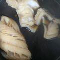 jimi8823's cooksnap of when they made 簡単たらの煮つけ.