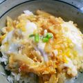 o☆shino's cooksnap of when they made 早い！安い！美味い！たぬき丼！天かすで♡.