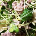 スノーディッシュ's cooksnap of when they made 野菜たっぷりの豚しゃぶサラダ.