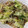 matsu1016's cooksnap of when they made 焼き肉のタレ　野菜炒め　簡単.