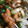 クック27H962☆'s cooksnap of when they made 本格！鶏のピリ辛炒め.