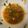 トラととら's cooksnap of when they made 簡単♪♪　焼き肉のたれで・・・もやし鍋.