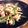 まぁしお's cooksnap of when they made 鳥胸肉とピーマンとしめじのマヨネーズ炒め.