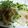 クックS0GWMW☆'s cooksnap of when they made 新たまレンチン.