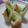 たこやきqoop's cooksnap of when they made 超簡単！ちくわきゅうり♪.