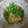 たこやきqoop's cooksnap of when they made 意外と簡単♪揚げだし豆腐.