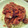 rendi's cooksnap of when they made うまっ！簡単！トマト缶のミートソース.