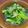 クックVOY1Q3☆'s cooksnap of when they made 小松菜のナムル.