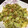 ゆきこすす's cooksnap of when they made 簡単春キャベツとオキアミ（小エビ炒め.