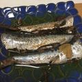 ち５０'s cooksnap of when they made いわしのコンフィ.