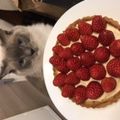 ツナ缶's cooksnap of when they made 糖質制限◆ベリーのカスタードタルト.
