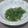 Yount's cooksnap of when they made パッと一品！わさび菜のサラダおひたし.