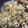 shichicook's cooksnap of when they made 超簡単　れんこんのきんぴら.