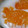 ﾋﾟﾛﾐ♡'s cooksnap of when they made 簡単！グレープフルーツのヨーグルトソース.