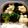 ma2kaboch's cooksnap of when they made 【副菜】ブロッコリーのペペロンチーノ.