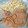 いちご＆大福's cooksnap of when they made おいしい！簡単！生姜焼き.