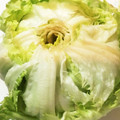 がいあ's cooksnap of when they made 超気持ちイイ✰　　レタスの芯のとり方♪.