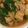 のんびりかおるん's cooksnap of when they made とろける～カブと鶏もも煮こみ料理.