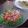 ねこりん222's cooksnap of when they made 水菜とベーコンのサラダ.
