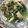 クック00N8WZ☆'s cooksnap of when they made 長芋と小松菜の炒め物♪.