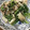 クック00N8WZ☆'s cooksnap of when they made 長芋と小松菜の炒め物♪.