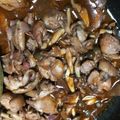 akichou's cooksnap of when they made 【簡単ごちそう】鶏肉の赤ワイン煮込み.