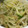 小豆だいすき's cooksnap of when they made 超簡単！きゅうりともやしのやみつきナムル.
