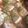 ikaöru's cooksnap of when they made 四川風 麻婆豆腐.