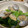 ARASHI_大好き's cooksnap of when they made あさりと小松菜の炒め物.