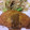 Y☾U's cooksnap of when they made 豚ロースのチーズはさみ揚げ.