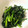 クックミッコ☆'s cooksnap of when they made 簡単♪ほうれん草のごま和え.