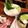 ダッフィーニーうに's cooksnap of when they made とり野菜みその豆乳鍋.