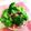 クックE7AY42☆'s cooksnap of when they made ブロッコリーのアンチョビガーリック炒め.