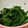 クックLZ7E8G☆'s cooksnap of when they made ほうれん草の韓国のりナムル.