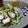ダイナマイト漆黒's cooksnap of when they made タコとセロリとカイワレのエスニックサラダ.