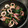 クックY9NLAJ☆'s cooksnap of when they made イカとほうれん草のマヨネーズ炒め♪.
