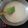 カクヨ's cooksnap of when they made ノンオイル☆簡単すぎるホワイトソース.