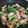 ☆こまっと☆'s cooksnap of when they made 【子どもと作ろう】ほうれん草エリンギ炒め.