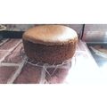 ありんこだいふく's cooksnap of when they made ココアスポンジケーキ.