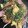 やーしー's cooksnap of when they made 豆苗と卵のウェイパー炒め.