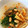 jumie's cooksnap of when they made めちゃめちゃ簡単!! 中華粥.