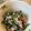 さちぶた♪'s cooksnap of when they made ほうれん草のサラダ.