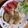 クックJ3IHQO☆'s cooksnap of when they made 鶏ささ身のごまマヨ焼き.