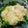 ねこはがき's cooksnap of when they made きれい！ブロッコリーのかに玉あんかけ.
