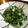 クックEHSYXL☆'s cooksnap of when they made 苦手でも◎春菊の味噌ツナマヨ黒ごまあえ.