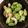 クックZ8J4H4☆'s cooksnap of when they made きゅうり枝豆ちくわのサラダ.